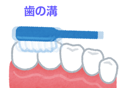 歯の溝